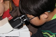 Young boy looking into microscope.